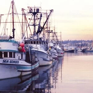 Fishing trawler in harbor in Seattle, Washington