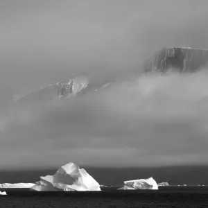 Floating iceberg in the ocean, Greenland Floating iceberg in the ocean, Greenland