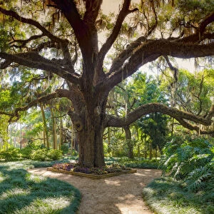 Florida Botanical Gardens, Washington Oaks State Park