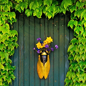 A flower vase surrounded by vines, Provence, France