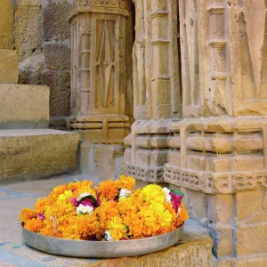 Flowers and columns