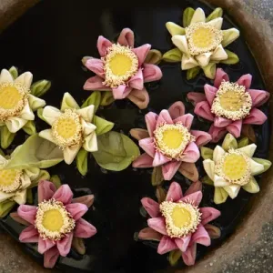 Flowers floating in pot, Okay 1 Villa Hotel, Siem Reap, Cambodia Flowers floating in pot, Okay 1 Villa Hotel, Siem Reap, Cambodia