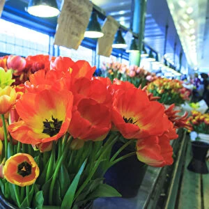 Flowers for sale at Pike Place Market in Late Spring, Seattle, Washington State
