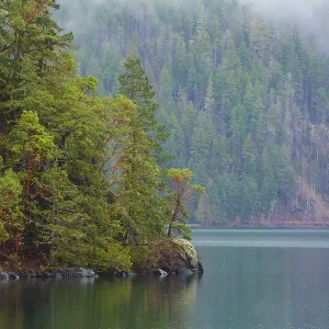 Fog over forest above Lake Crescent, Olympic National Park, Washington State, USA Fog over forest above Lake Crescent, Olympic National Park, Washington State, USA