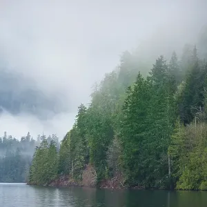 Fog over forest above Lake Crescent, Olympic National Park, Washington State, USA Fog over forest above Lake Crescent, Olympic National Park, Washington State, USA