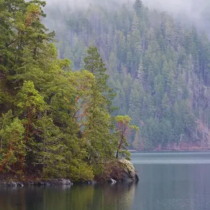 Fog over forest above Lake Crescent, Olympic National Park, Washington State, USA Fog over forest above Lake Crescent, Olympic National Park, Washington State, USA