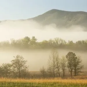 Foggy morning, Cades Cove, Great Smoky Mountains National Park, Tennessee