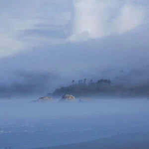 Foggy morning along the coastline, Cannon Beach, Oregon