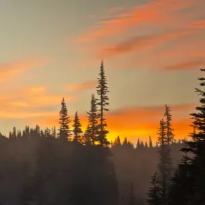 Foggy Sunrise Print: Reflection Lakes Area, Mount Rainier National Park Foggy Sunrise Print: Reflection Lakes Area, Mount Rainier National Park
