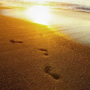 Footprints on beach, Olympic Peninsula, Washington State, USA Footprints on beach, Olympic Peninsula, Washington State, USA