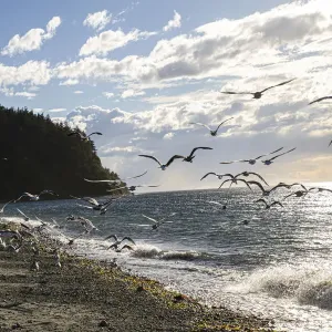 Fort Worden State Park, Post Townsend, Washington State