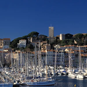 France, Cote d Azur, Cannes, Old city harbour