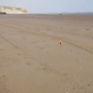 France, Normandy, Arromanches Beach. Remembrance crosses placed in the sand on the