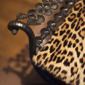France, Paris, Museum of Decorative Arts, Ocelot Chair by Armand Rateau-decorator France, Paris, Museum of Decorative Arts, Ocelot Chair by Armand Rateau-decorator