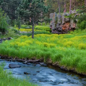 Prints of USA Prints: South Dakota
