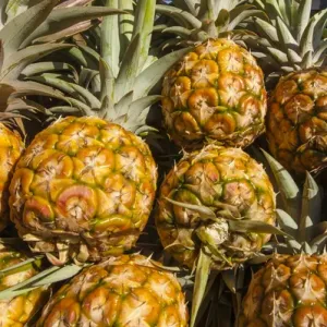 Fresh pineapple at the Saturday farmers market Honolulu, Oahu, Hawaii Fresh pineapple at the Saturday farmers market Honolulu, Oahu, Hawaii