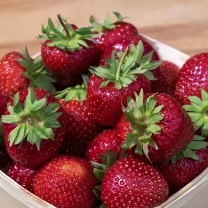 Fresh strawberries