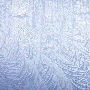 Frost on automobile silver fender