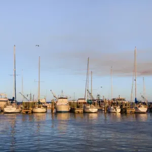 Fulton Harbor and recreational boats