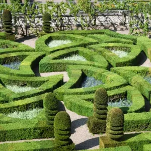 Villandry Garden Detail Print Villandry Garden Detail Print