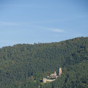 Germany, Franconai. Hillside castle along the Main River between Wertheim & Miltenberg