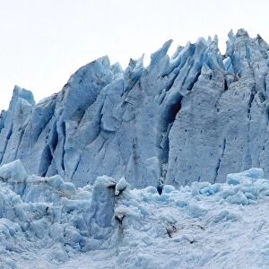 Glacier Needles, Harding Icefield, Kenai Fjord National Park, AK