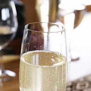 Glass flute of sparkling Cruzdiabolo semi-sweet wine Bodega Del Anelo Winery, also