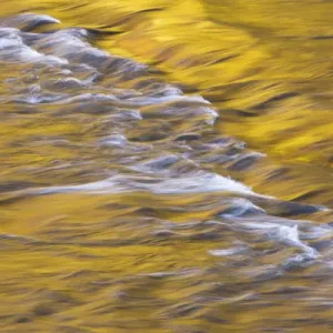 Golden light reflects off the Presque Isle River, Wisconsin Golden light reflects off the Presque Isle River, Wisconsin