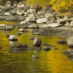 golden reflections, Dillon Falls area, Deschutes River, Descutes National Forest