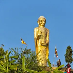 Collections: Religion and Spirituality