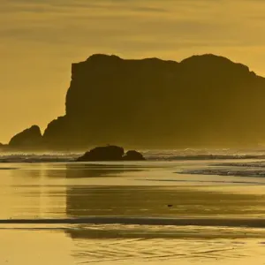 golden sunset, sea stacks, Bandon by the Sea, Oregon, USA