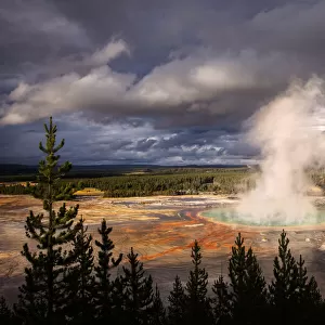 Grand Prismatic spring, Midway Geyser Basin, Yellowstone National Park, Wyoming