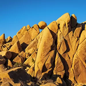 Granite boulders at Jumbo Rocks, Joshua Tree National Park, California, USA