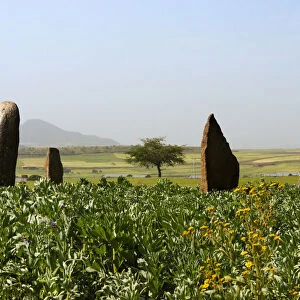Grave marks at Dungur (Dungur Addi Kite) palace ruins, Aksum, Ethiopia