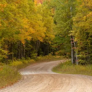 Gravel road through Hiawatha National Forest, Upper Peninsula of Michigan Gravel road through Hiawatha National Forest, Upper Peninsula of Michigan