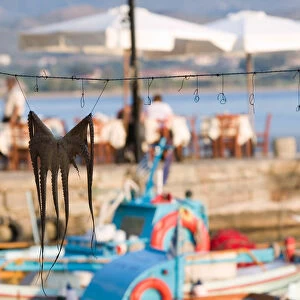 GREECE-Northeastern Aegean Islands-LESVOS (Mytilini)-Mithymna (Molyvos): Fishing