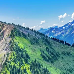 Green foothills, Mount Rainier, Crystal Mountain lookout, Pierce County, Washington State, Usa Green foothills, Mount Rainier, Crystal Mountain lookout, Pierce County, Washington State, Usa