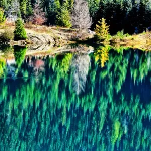 Green Trees Gold Lake Reflection Snoqualme Pass Washington