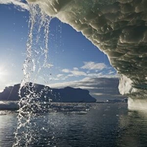 Greenland, Ilulissat, Midnight sun lights melting icebergs calved from Jakobshavn