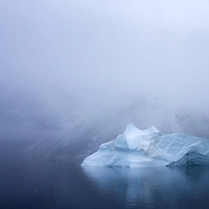 Greenland. Northeast Greenland National Park. Kong Oscar Fjord. Iceberg in dense fog