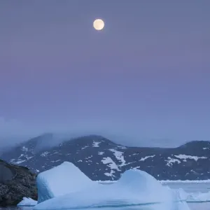 Le Groenland, Qaqortoq, glace flottante et lever de la lune. Le Groenland, Qaqortoq, glace flottante et lever de la lune.