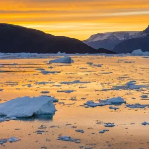 Greenland, Scoresby Sund, Gasefjord. Sunset with icebergs and brash ice Greenland, Scoresby Sund, Gasefjord. Sunset with icebergs and brash ice