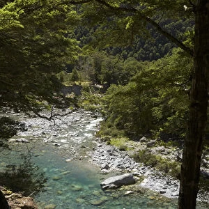 Greenstone River, Greenstone Valley, near Lake Wakatipu, South Island, New Zealand