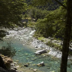 Greenstone River, Greenstone Valley, near Lake Wakatipu, South Island, New Zealand