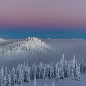 Groomer Print at Dusk, Whitefish Mountain Resort Groomer Print at Dusk, Whitefish Mountain Resort