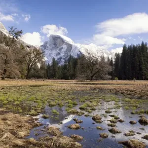 Half Dome with reflections seen from Cooks Meadow. Yosemite National Park. California Half Dome with reflections seen from Cooks Meadow. Yosemite National Park. California
