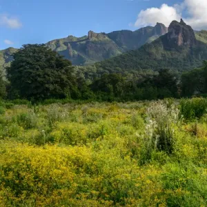 The Harenna Escarpment. Bale Mountains National Park. Ethiopia The Harenna Escarpment. Bale Mountains National Park. Ethiopia
