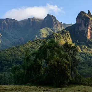 The Harenna Escarpment. Bale Mountains National Park. Ethiopia