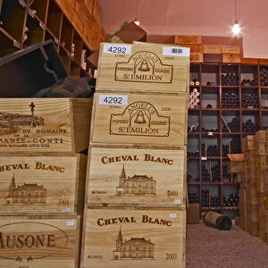 The heavily protected storage room for the most valuable bottles, closed with an