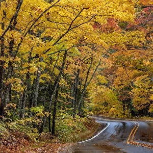Highway 41 covered roadway in autumn near Copper Harbor in the Upper Peninsula of Michigan